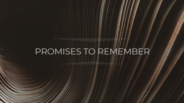 Promise to Remember Image